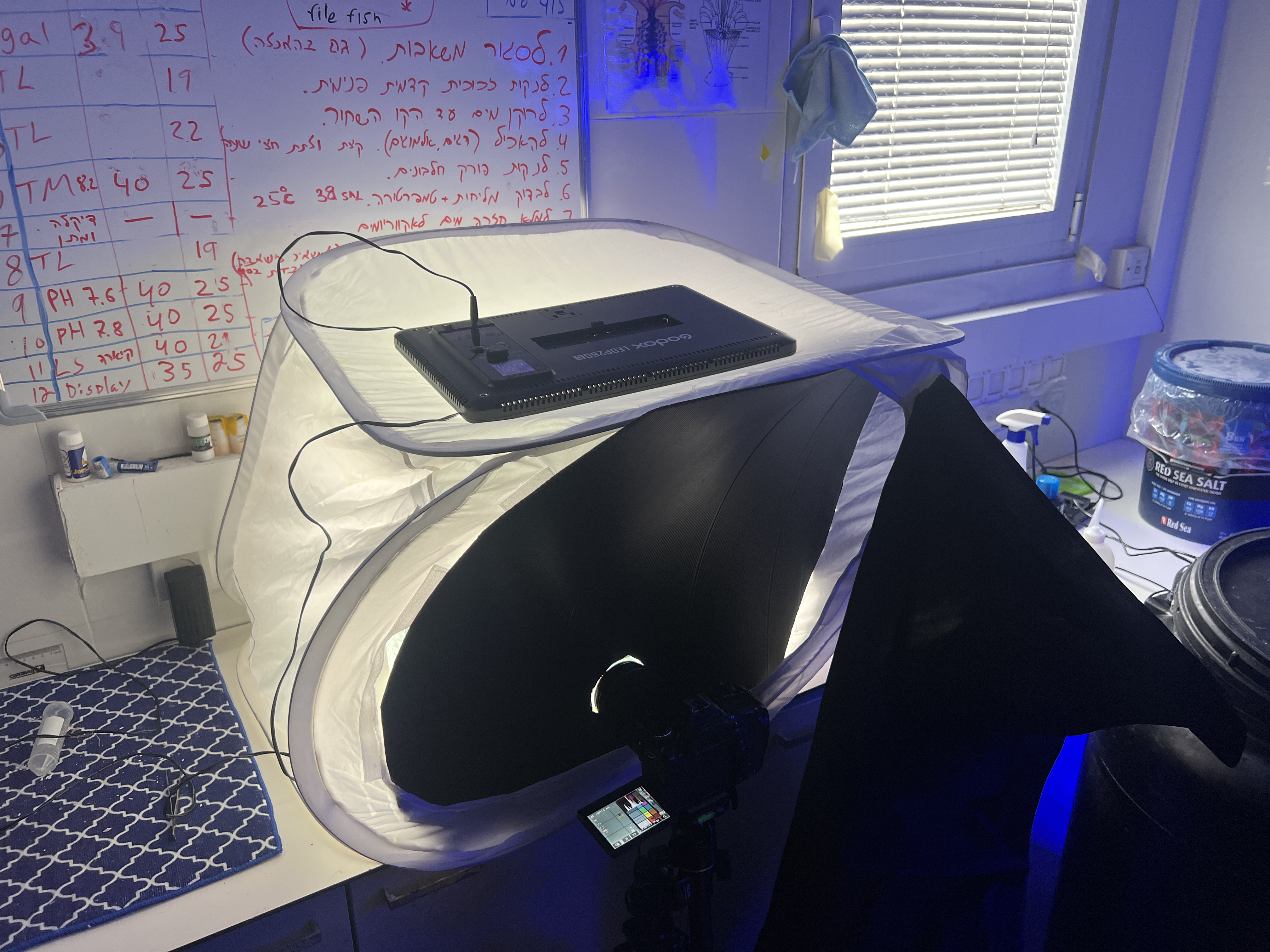 Figure 15: Imaging Rig V5. This version utilizes both the black barrier and a black curtain.